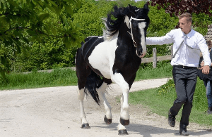 Keuring België 2015