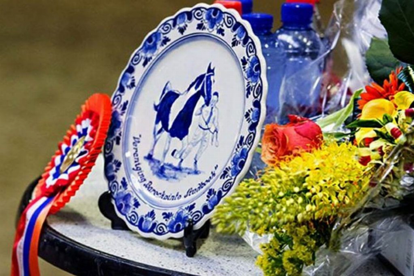 Hengstenkeuring 2016!