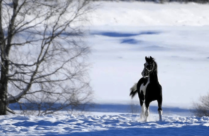 Brief KFPS merkertest